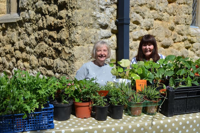 There were plenty of plants on sale at Riby