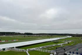 The racecourse track is covered in fleece. Image: Jockey Club