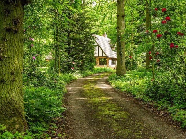 The approach to the home.