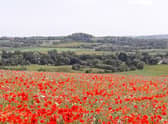 Lincolnshire Wolds AONB.