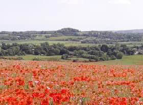 Lincolnshire Wolds AONB.