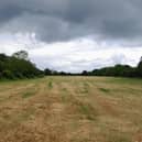 The application site facing south-west. Photo: ELDC