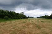 The application site facing south-west. Photo: ELDC