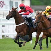 Taste The Fear (right) enjoyed a win at Market Rasen on Saturday.  (Photo by Mike Egerton - Pool/Getty Images)