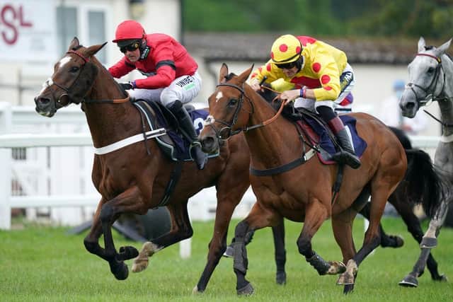 Taste The Fear (right) enjoyed a win at Market Rasen on Saturday. (Photo by Mike Egerton - Pool/Getty Images)