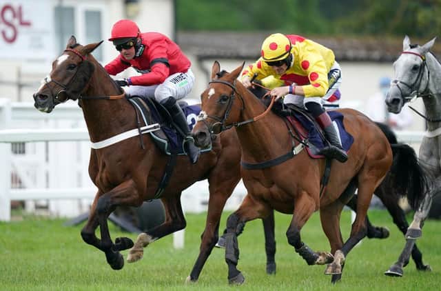 Taste The Fear (right) enjoyed a win at Market Rasen on Saturday.  (Photo by Mike Egerton - Pool/Getty Images)