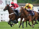 Taste The Fear (right) enjoyed a win at Market Rasen on Saturday.  (Photo by Mike Egerton - Pool/Getty Images)