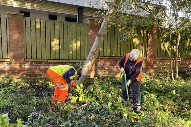 The new Green Volunteers in action.
