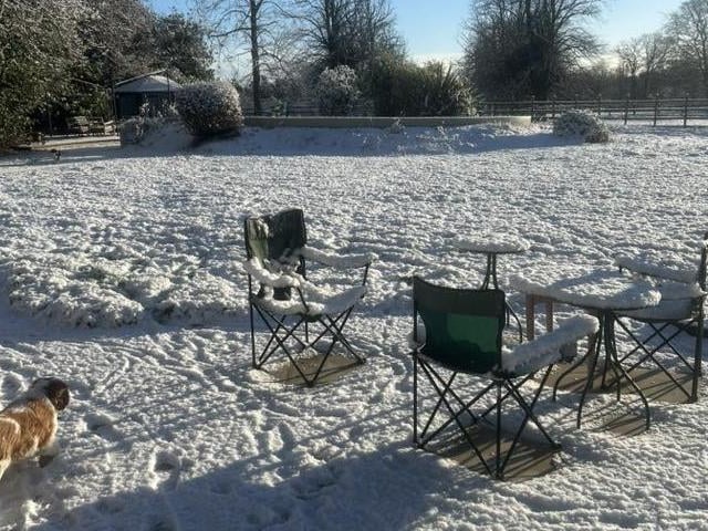A snowy morning in Steve Turnbull's garden at Tumby.