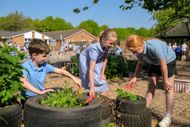 Spilsby Primary Academy pupils tending to the school garden