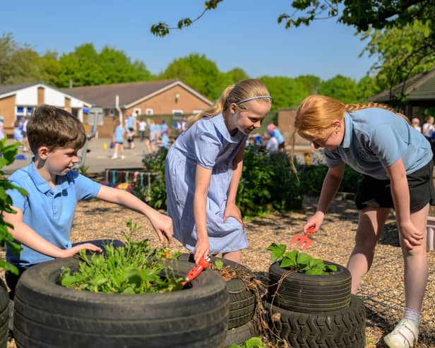 Spilsby Primary Academy pupils tending to the school garden