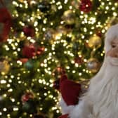 Louth Garden Centre opens its Christmas store on October 7th
