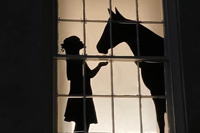 The Joseph Banks Centre’s Window Wanderland from 2021’s event