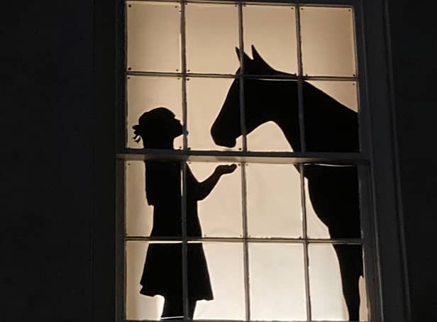 The Joseph Banks Centre’s Window Wanderland from 2021’s event