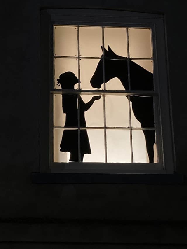 The Joseph Banks Centre’s Window Wanderland from 2021’s event
