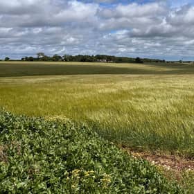A view of the site proposed for the Windsock solar project near Cranwell. Photo supplied