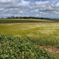 Public exhibitions announced for proposed solar farm near Sleaford