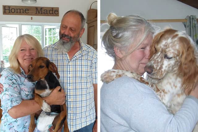 Jacqui and David Hadley, of Sully's Sanctuary.