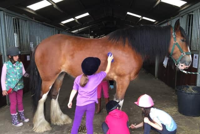 Isla’s nature was so kind and gentle, even small children could feed her and groom her