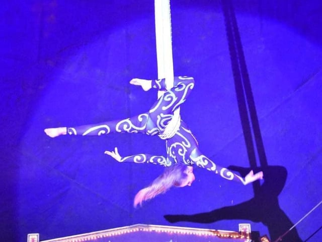 Pippa on the trapeze.