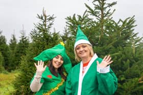St Barnabas Hospice's Tree-cycle elves.