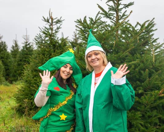 St Barnabas Hospice's Tree-cycle elves.