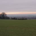Business advice is on hand for struggling farmers.