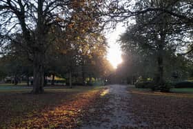 Trees in Sobraon Park, Lincoln. Credit: LDRS