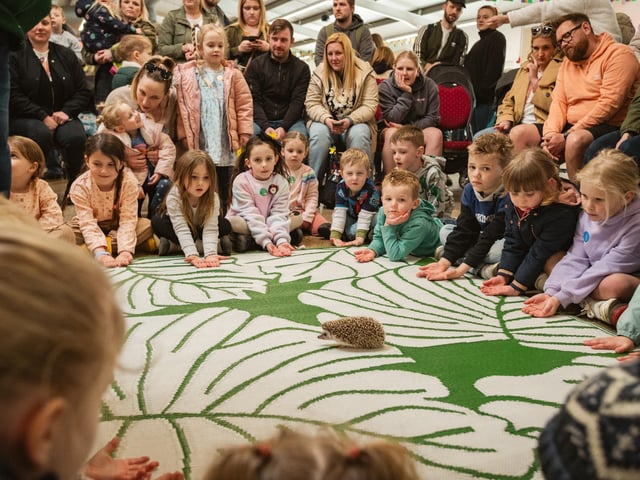Children meet a hedgehog. Photo: Steve Smailes