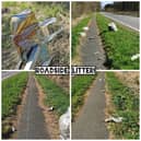 Roadside Litter