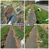 Roadside Litter