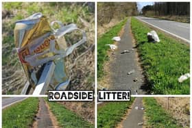 Roadside Litter