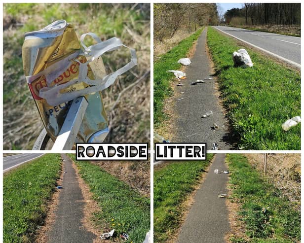 Roadside Litter