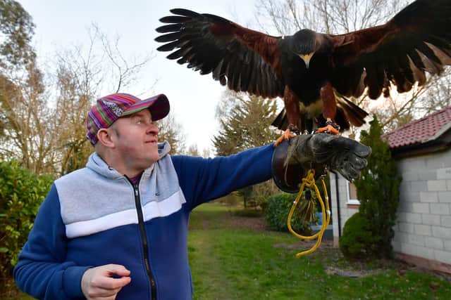 Richard Smith with Harris Hawk, Duchess