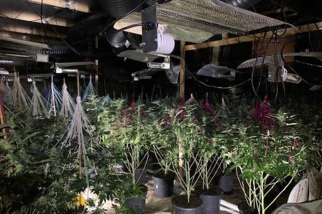 A cannabis grow was found at an industrial unit on Ropery Road, Gainsborough