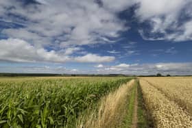 West Lindsey District Council has concerns for the future of farming in the district under inheritance tax changes. Photo: Steve Hatton