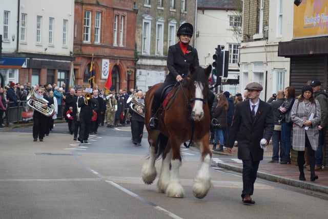 The Clydesdale led the parade to acknowledge the animal sacrifice as well as human in conflicts
