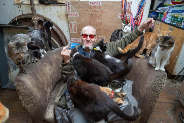 Ian Catmando of Gainsborough, Lincolnshire, at his home he shares with 70 cats. Tom Maddick / SWNS