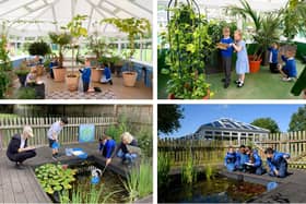 The Coronation Gardens at Kirton Primary School.