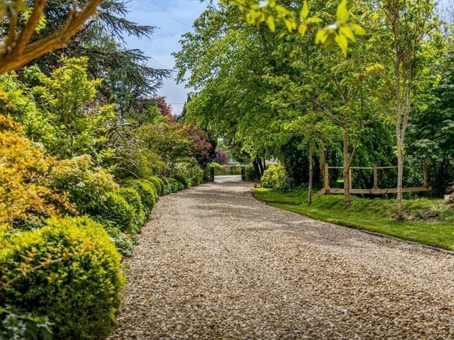 Looking back down the drive.