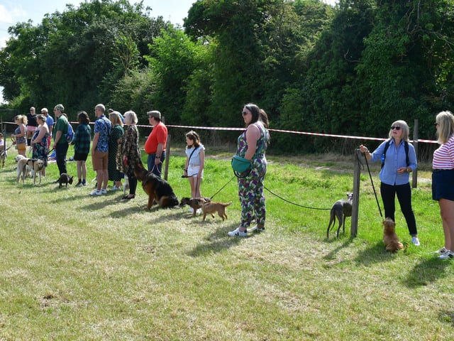 Dog show at Heckington Show on Saturday.