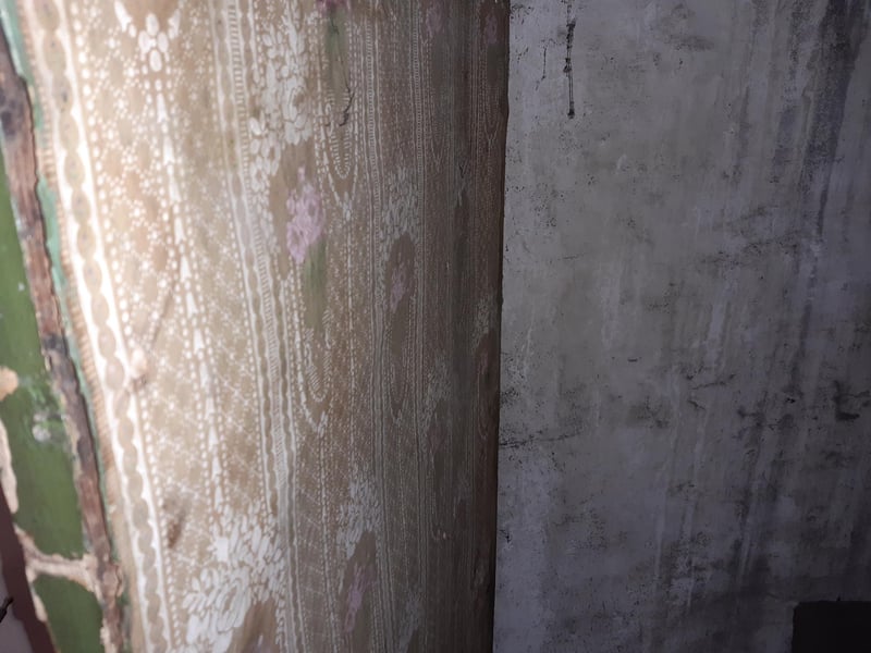 "It looks like someone has been living in it," said Shane. The wallpaper on the back of the door.