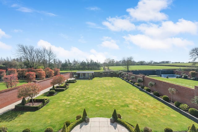 The view of the garden.