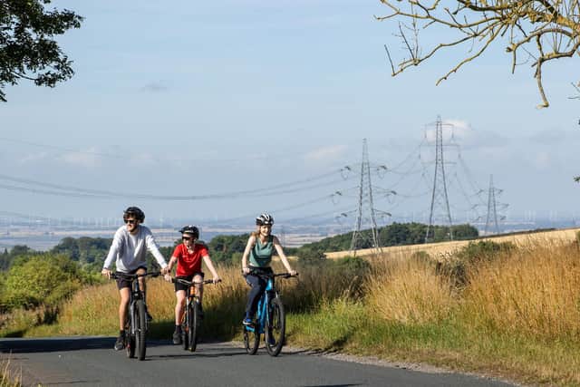 The National Grid says pylons like these through Lincolnshire are necessary - but the county council says it will fight proposals.