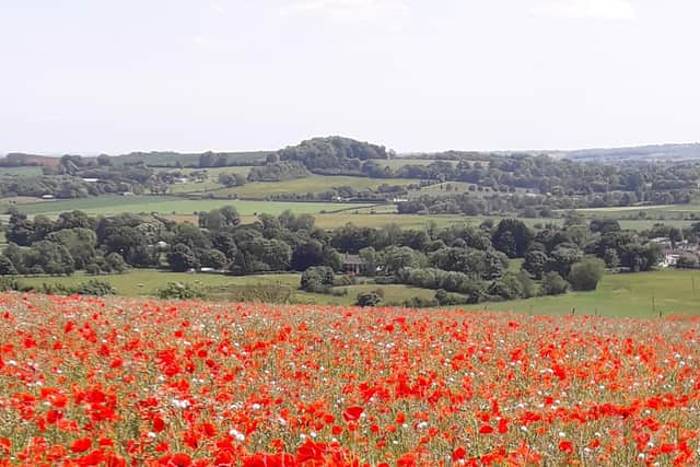 Lincolnshire Wolds AONB.