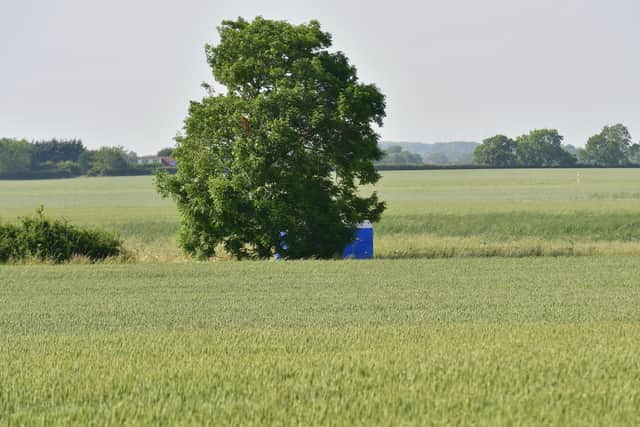 Scene where a human skull was discovered by a member of public at Pear Tree Lane, Fulstow.