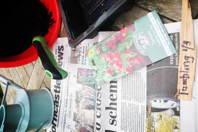 Advice from Horncastle in Bloom about growing your own tomatoes.