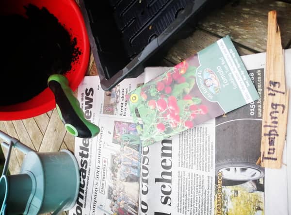 Advice from Horncastle in Bloom about growing your own tomatoes.