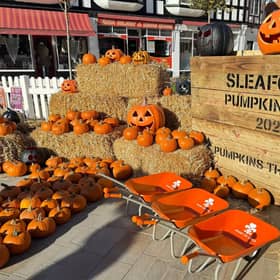 Last year's pumpkin patch. Photo: NKDC