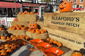 Last year's pumpkin patch. Photo: NKDC